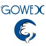 gowex 02
