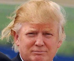 donald trump bad hair