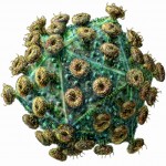 HIV virus