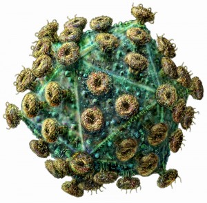 HIV virus