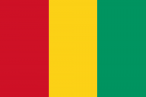 Guinea bandera