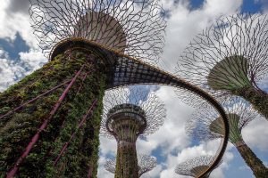 singapur super arboles