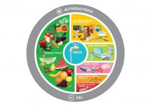 plato de alimenticion recomendada argentina 2016
