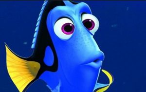 dory