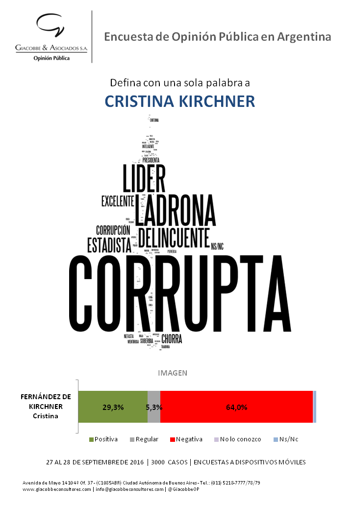 CFK en una palabra 2016