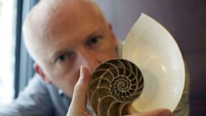 marcus du sautoy _ matemático