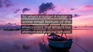 cita Richard Thaler nudge