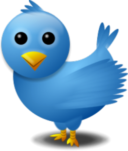 twitter bird