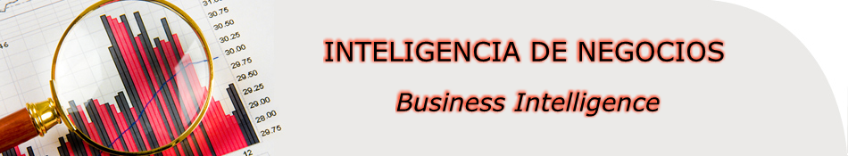 inteligencia de negocios