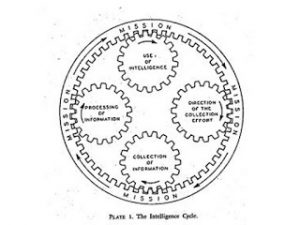 ciclo de inteligencia Glass y Davidson